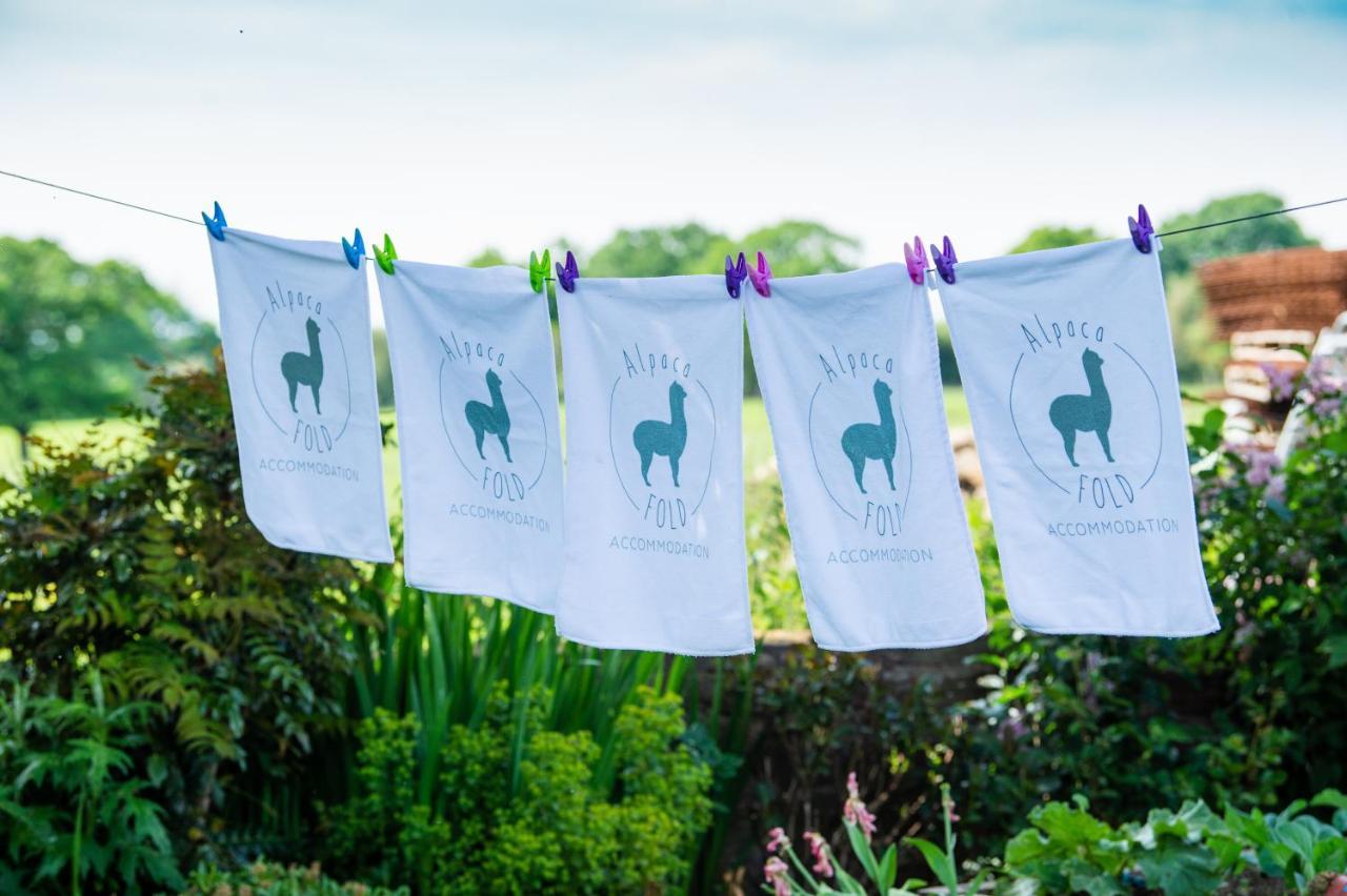 Вілла Alpaca Fold Престон Екстер'єр фото